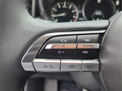 2025 Mazda Mazda CX-50 2.5 S Premium Package AWD