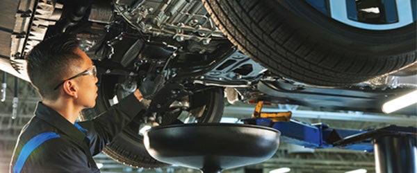 Volkswagen Care Prepaid Scheduled Maintenance Plans at Tom Bush Volkswagen of Jacksonville FL